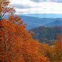 A scenic view of the Blue Ridge Mountains surrounding Asheville during autumn, representing local Asheville resources